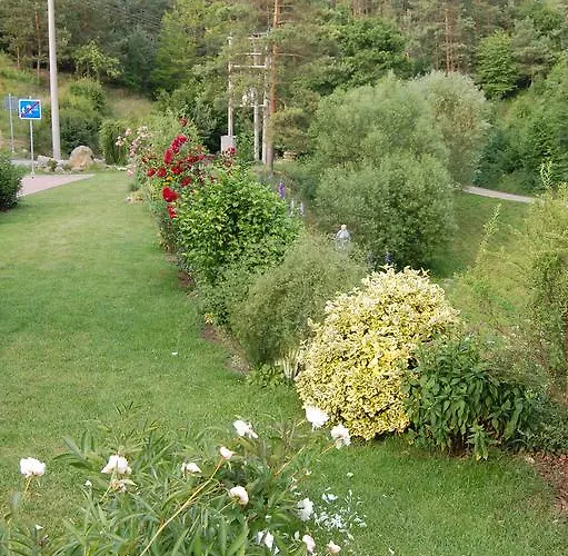Hosek
